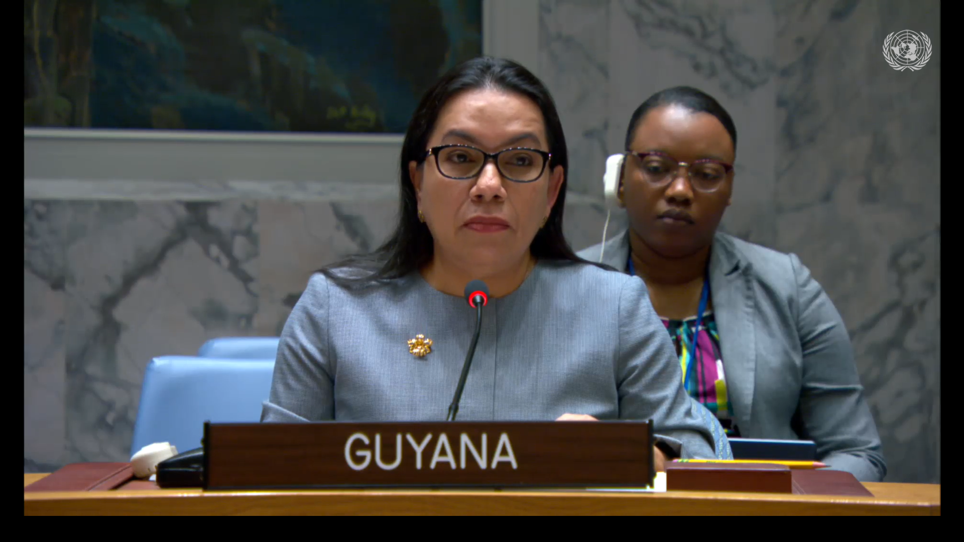 Amb. Carolyn Rodrigues Birkett delivering statement at UNSC Meeting on Palestine