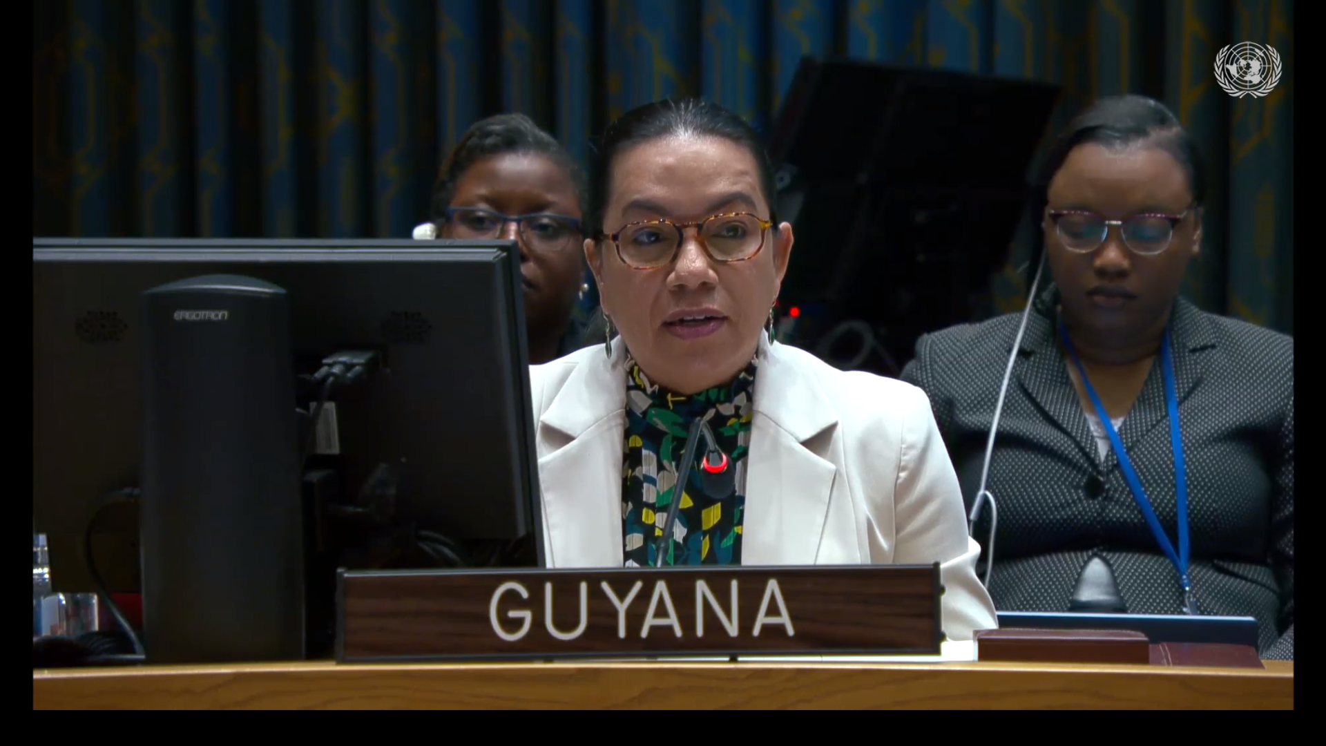 Amb. Carolyn Rodrigues Birkett delivering statement at UNSC Meeting on Palestine