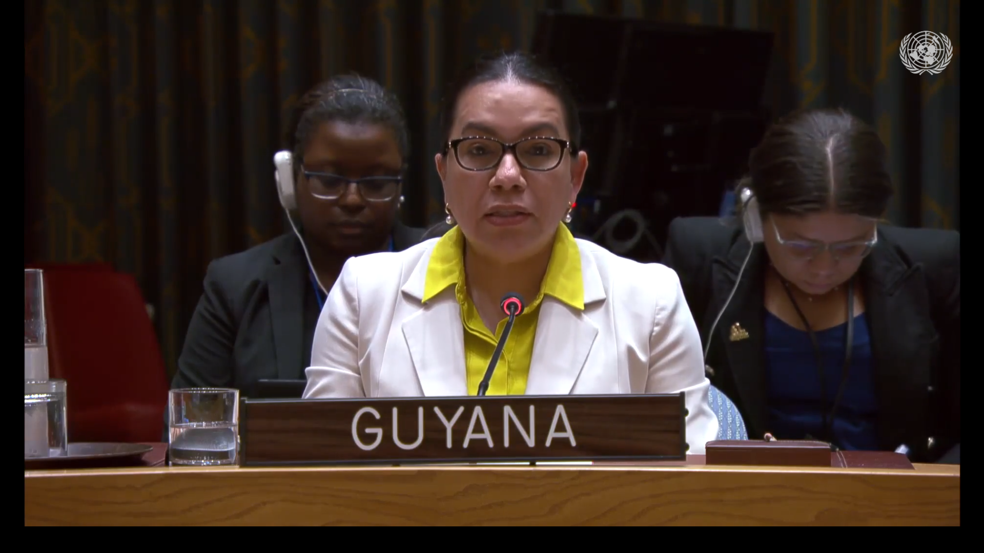 Amb. Carolyn Rodrigues Birkett delivering statement at UNSC Meeting on Ukraine