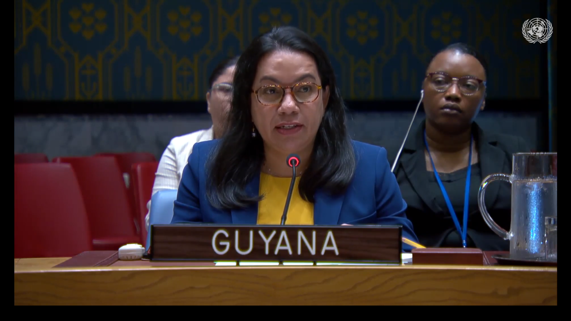 Amb. Carolyn Rodrigues Birkett delivering statement at UNSC Meeting on Ukraine