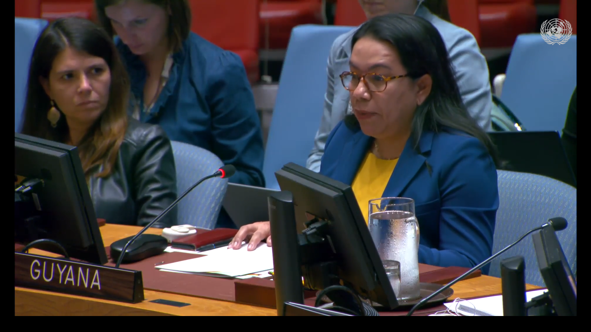 Amb. Carolyn Rodrigues Birkett delivering statement at UNSC Meeting on Palestine