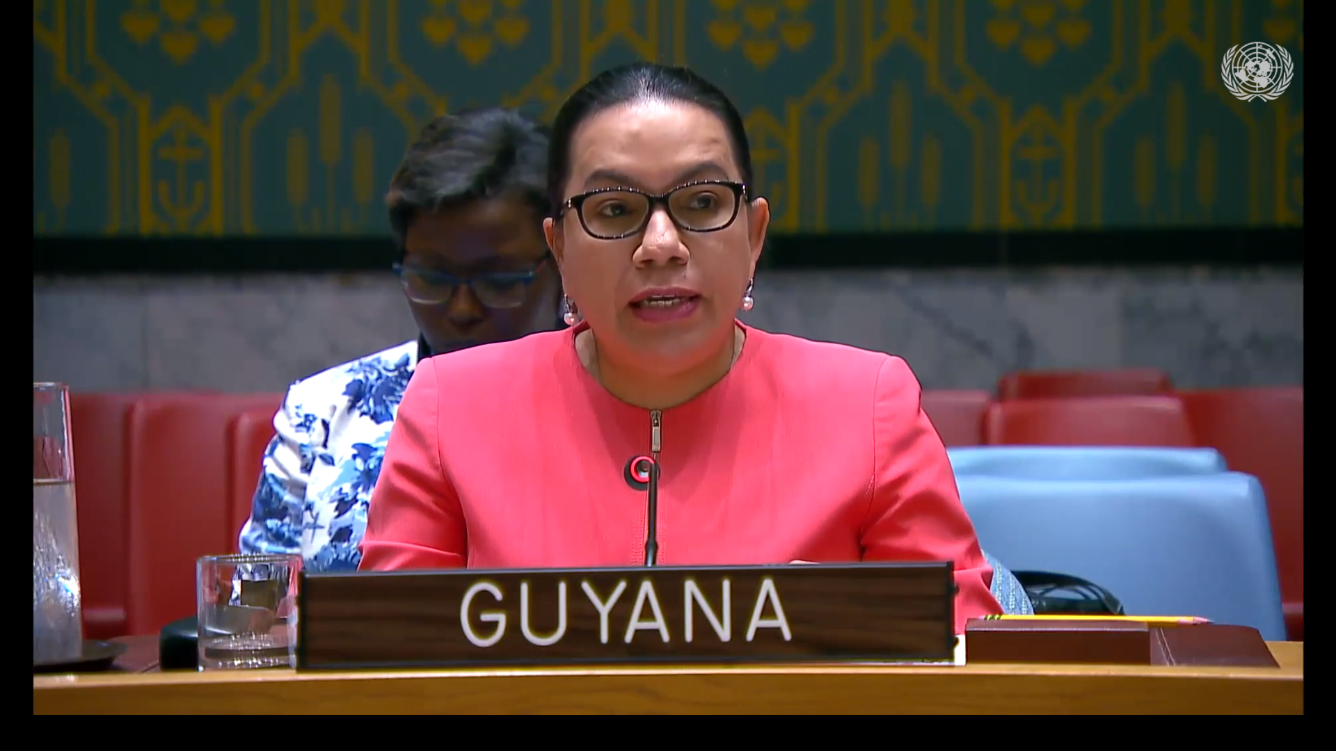 Amb. Carolyn Rodrigues Birkett delivering statement at UNSC Meeting on Ukraine