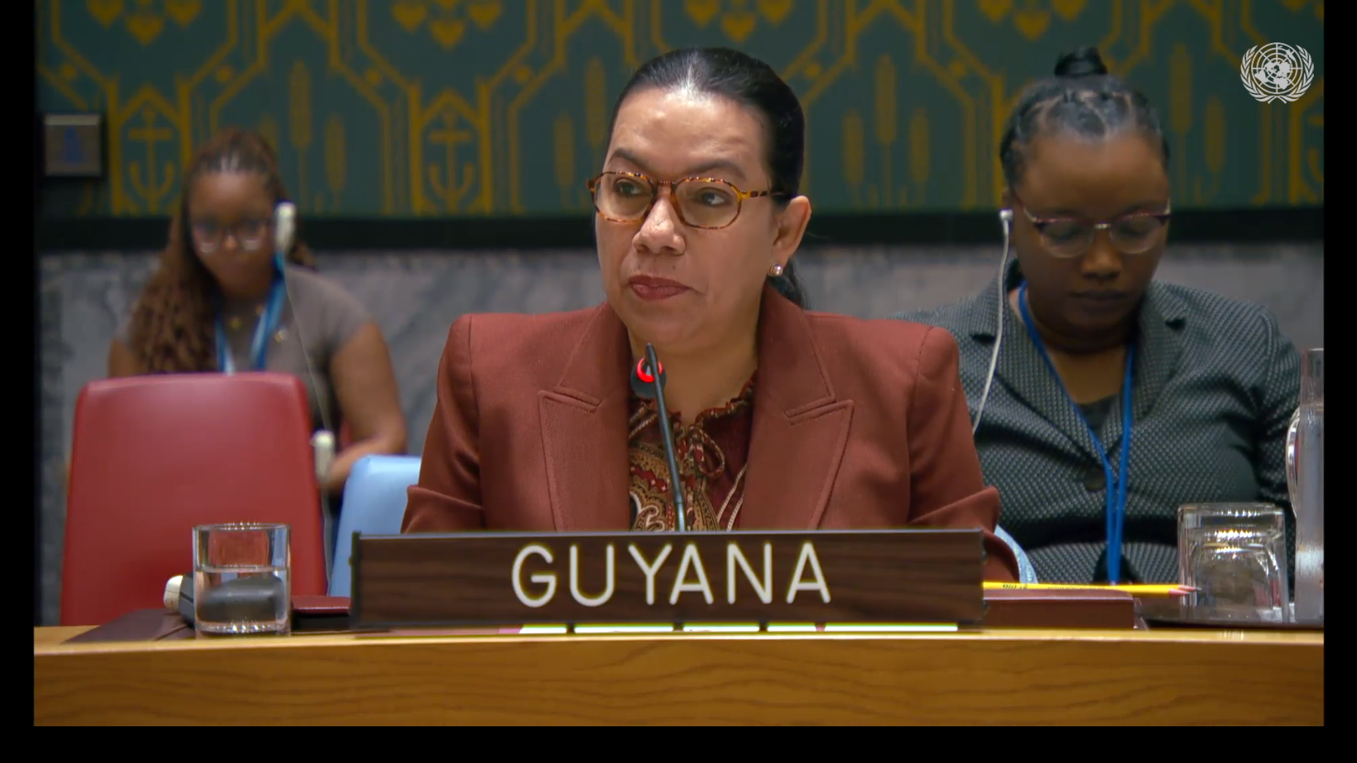 Amb. Carolyn Rodrigues Birkett delivering statement at UNSC Meeting on Palestine