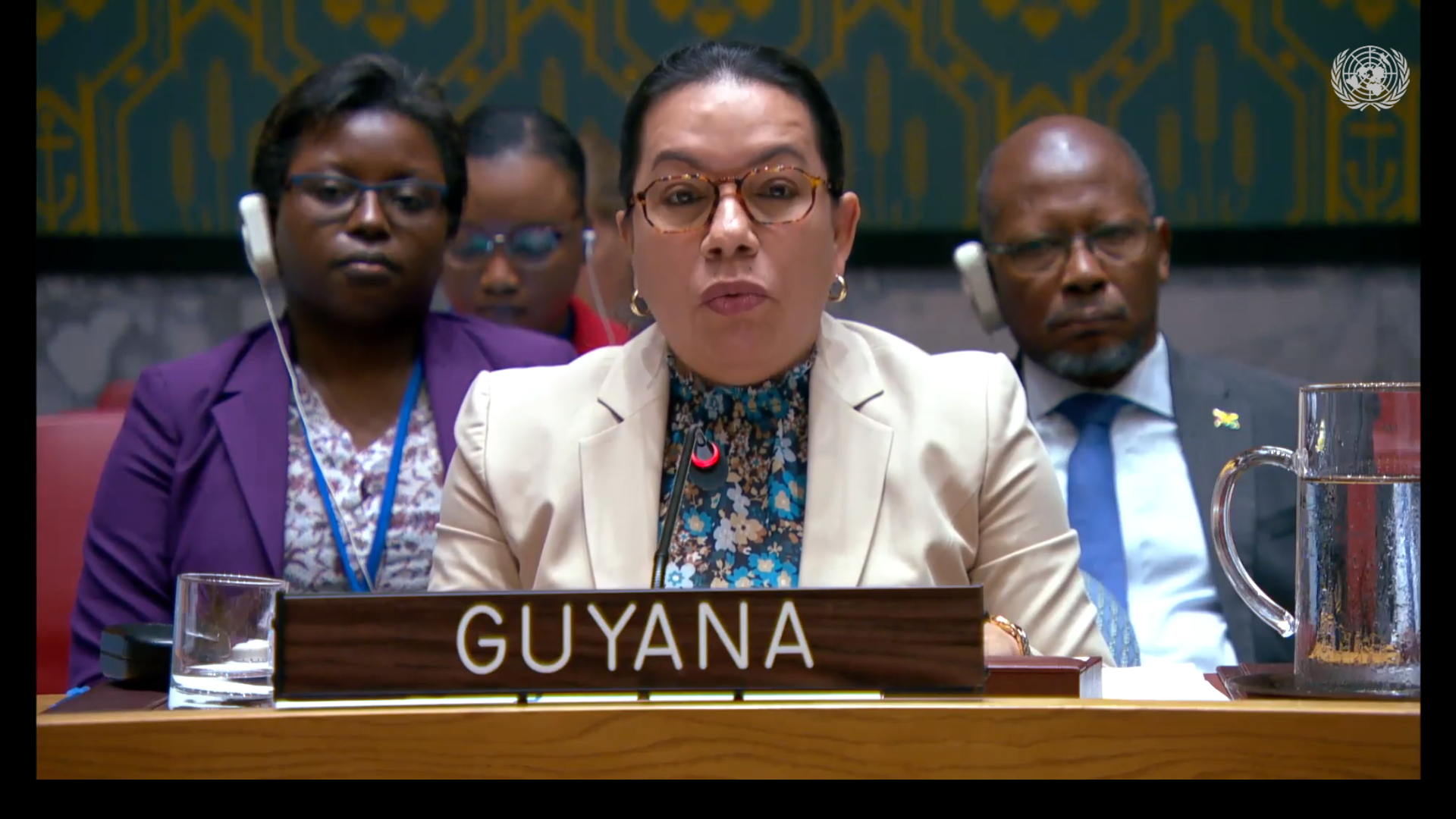 Amb. Carolyn Rodrigues Birkett delivering statement at UNSC Meeting on Palestine