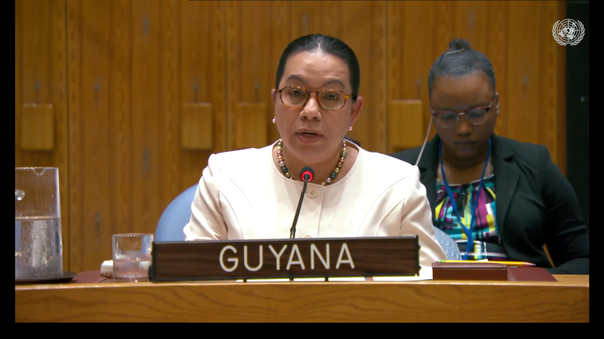 Amb. Carolyn Rodrigues Birkett delivering statement at UNSC Meeting on Palestine