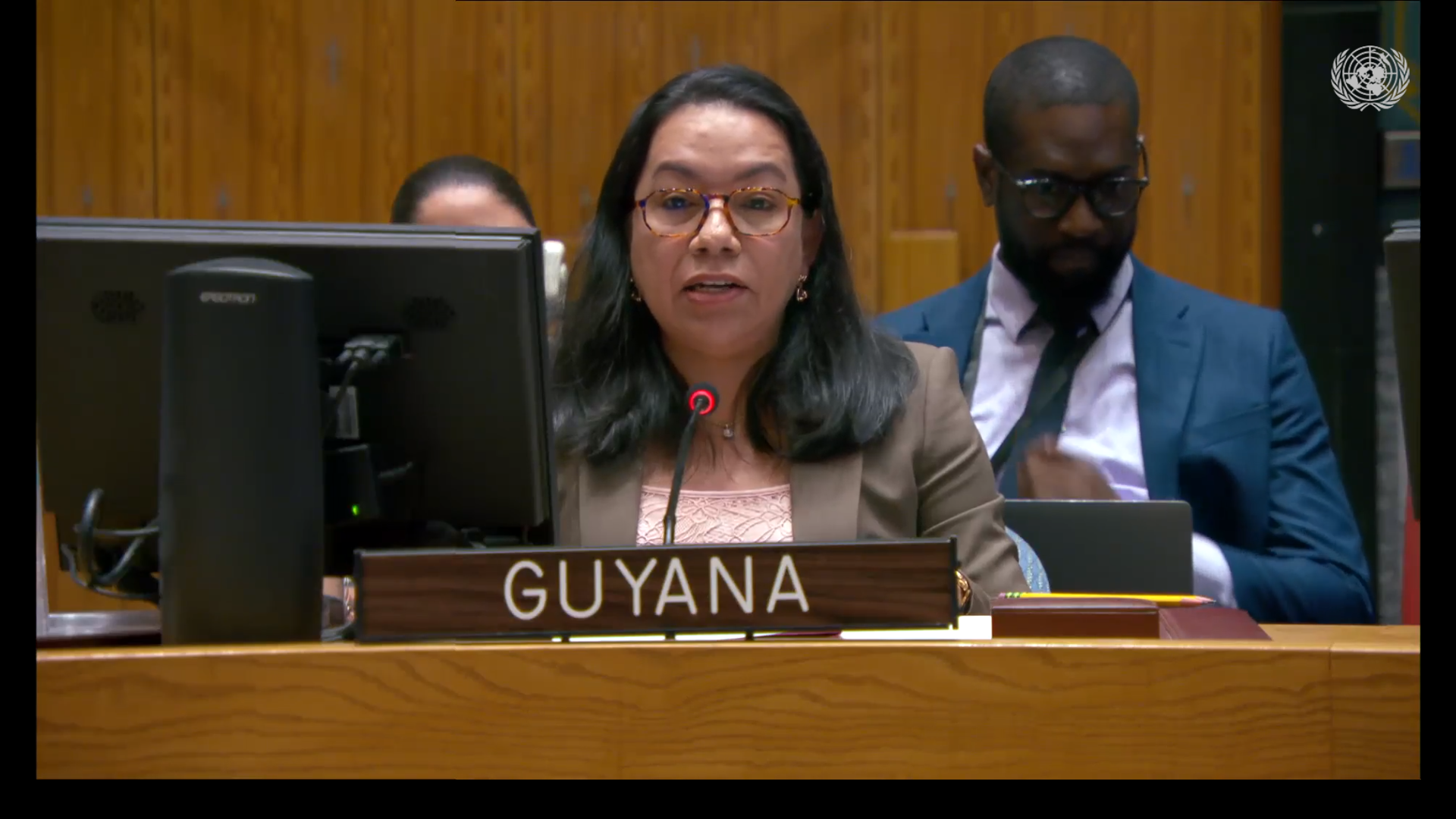 Amb. Carolyn Rodrigues Birkett delivering statement at UNSC Meeting on Palestine