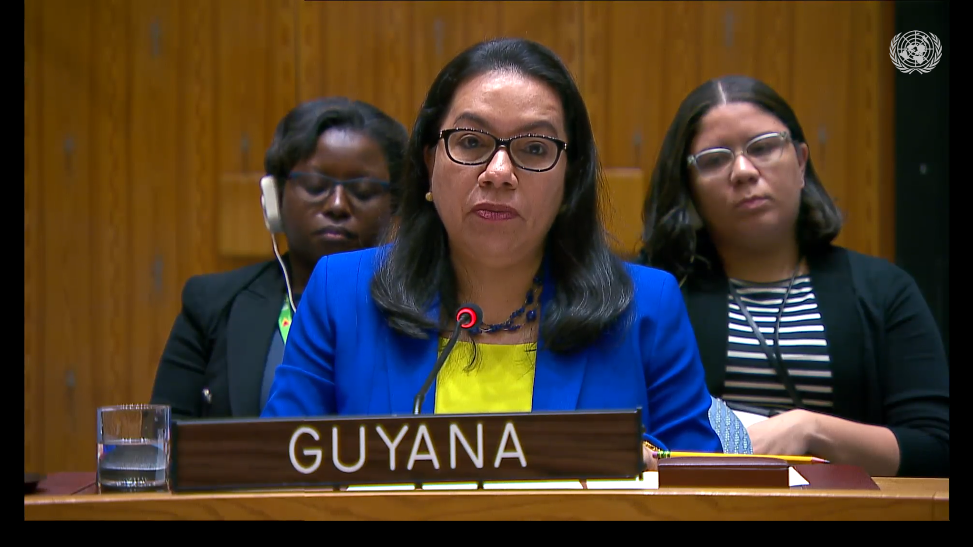 Amb. Carolyn Rodrigues Birkett delivering statement at UNSC Meeting on Ukraine