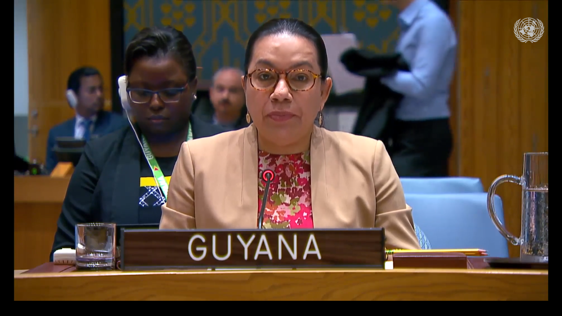 Amb. Carolyn Rodrigues Birkett delivering statement at UNSC Meeting on Ukraine