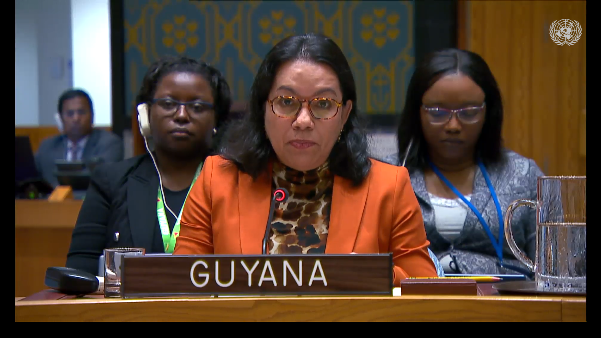 Amb. Carolyn Rodrigues Birkett delivering statement at UNSC Meeting on Palestine