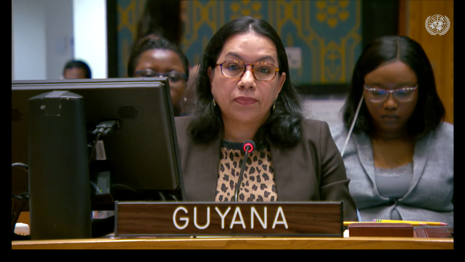 Amb. Carolyn Rodrigues Birkett delivering statement at UNSC Meeting on Palestine