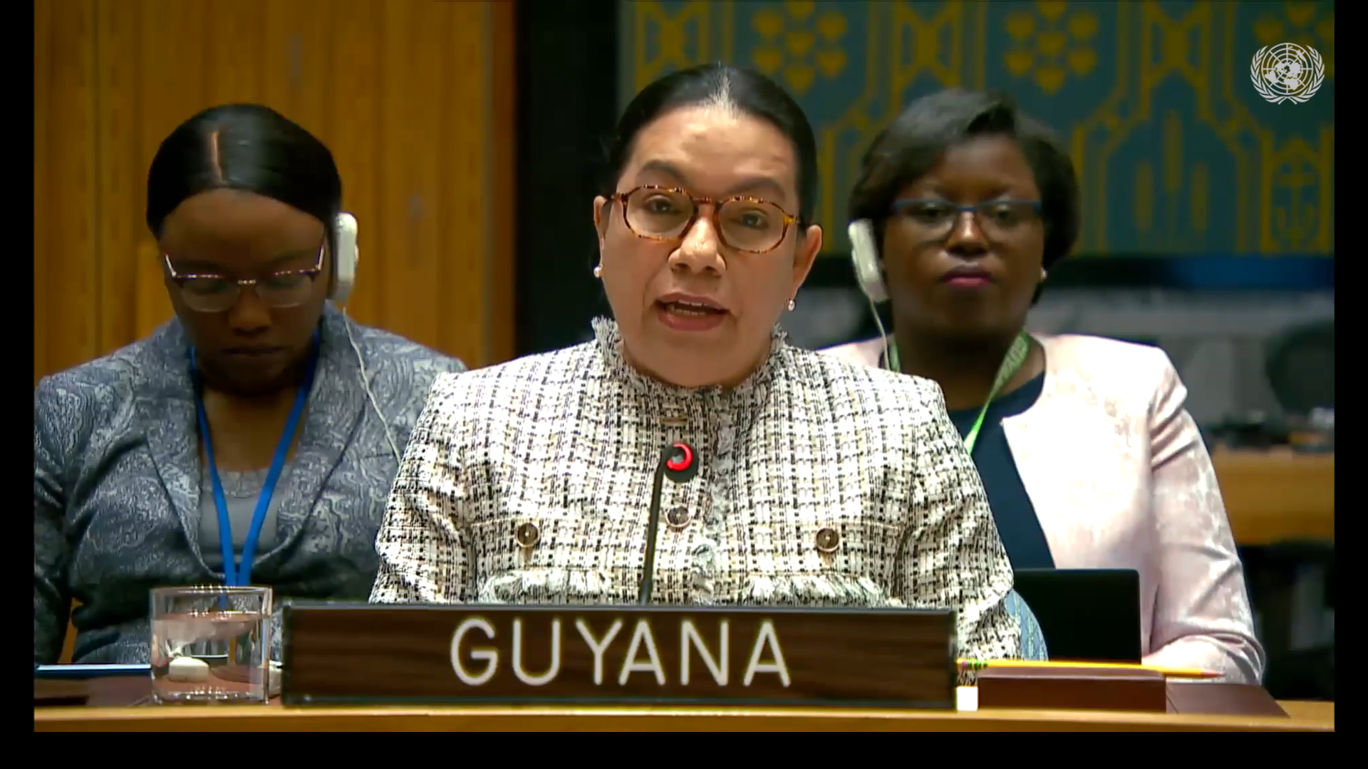 Amb. Carolyn Rodrigues Birkett delivering statement at UNSC Meeting on Palestine