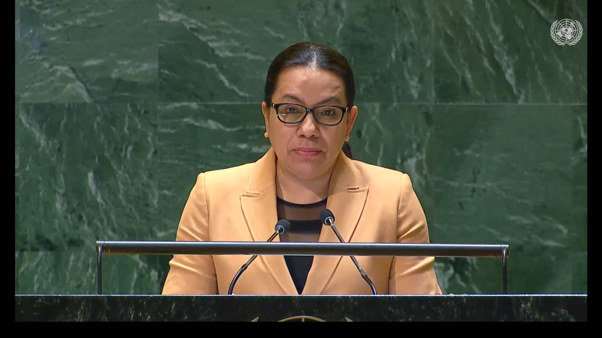 Amb. Carolyn Rodrigues Birkett delivering statement at General Assembly Debate on Security Council Reform