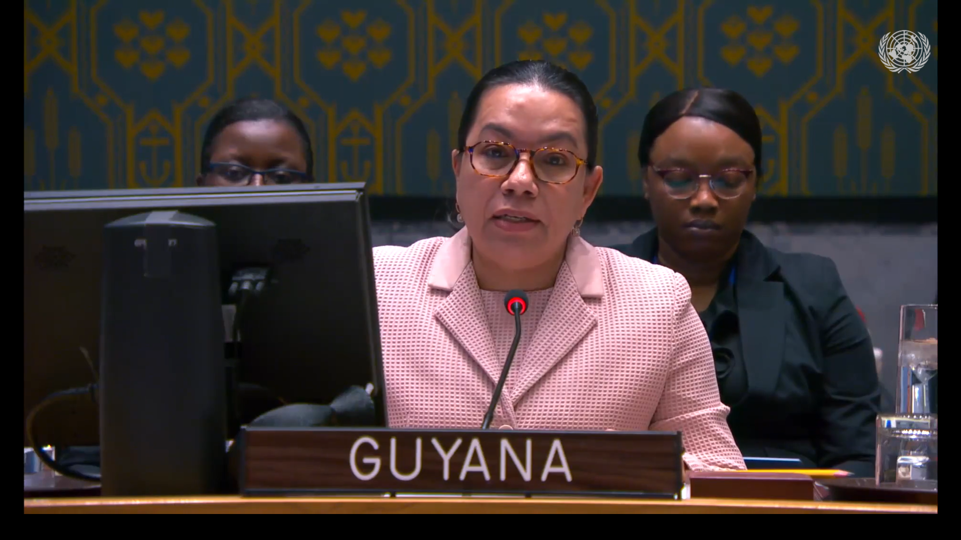 Amb. Carolyn Rodrigues Birkett delivering statement at UNSC Meeting on Palestine (UNRWA)