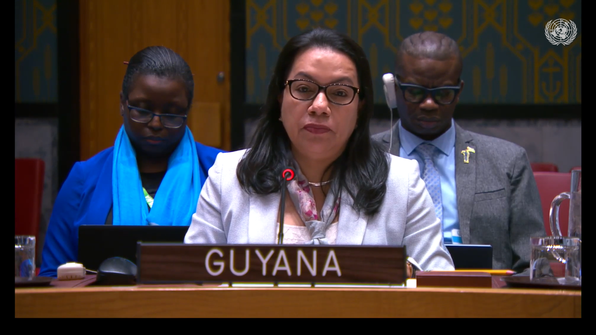 Amb. Carolyn Rodrigues Birkett delivering statement at UNSC Meeting on Threats to international peace and security caused by terrorist acts