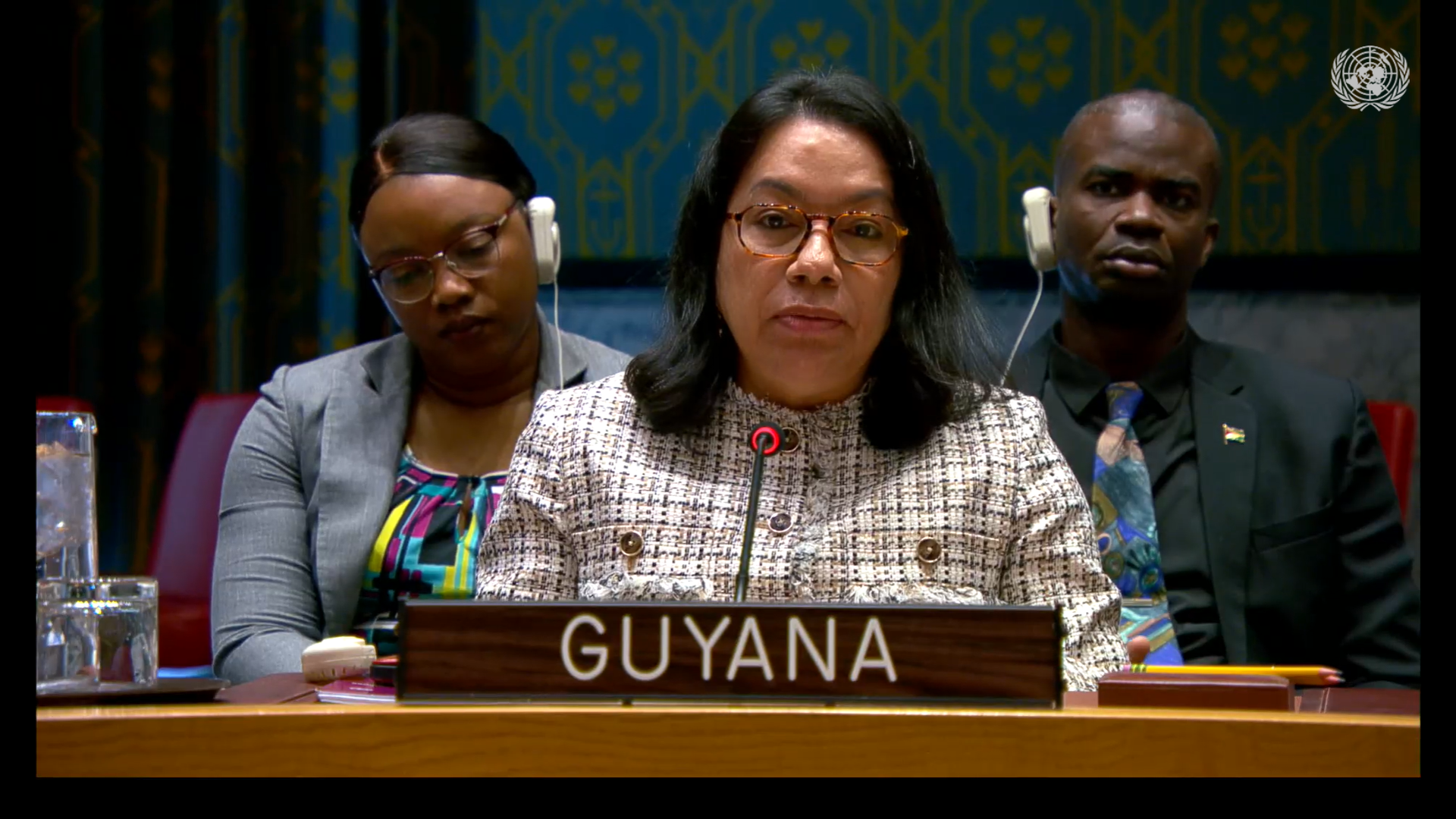 Amb. Carolyn Rodrigues-Birkett delivering statement at UNSC Meeting on UN-EU Cooperation