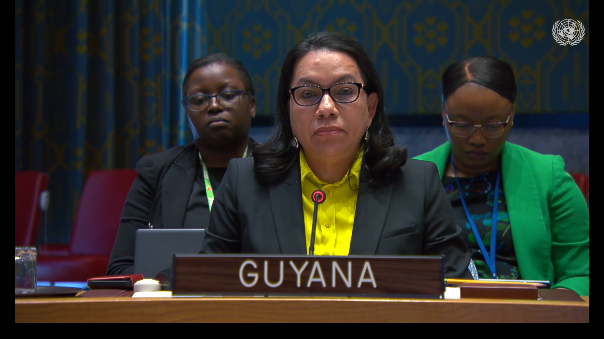 Amb. Carolyn Rodrigues Birkett delivering statement at UNSC Meeting on Palestine