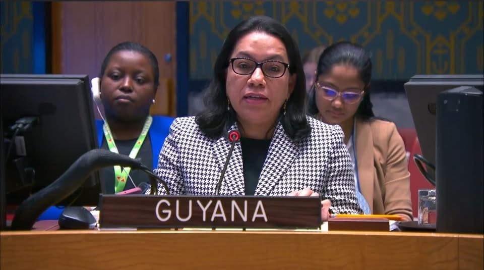 H.E. Carolyn Rodrigues-Birkett