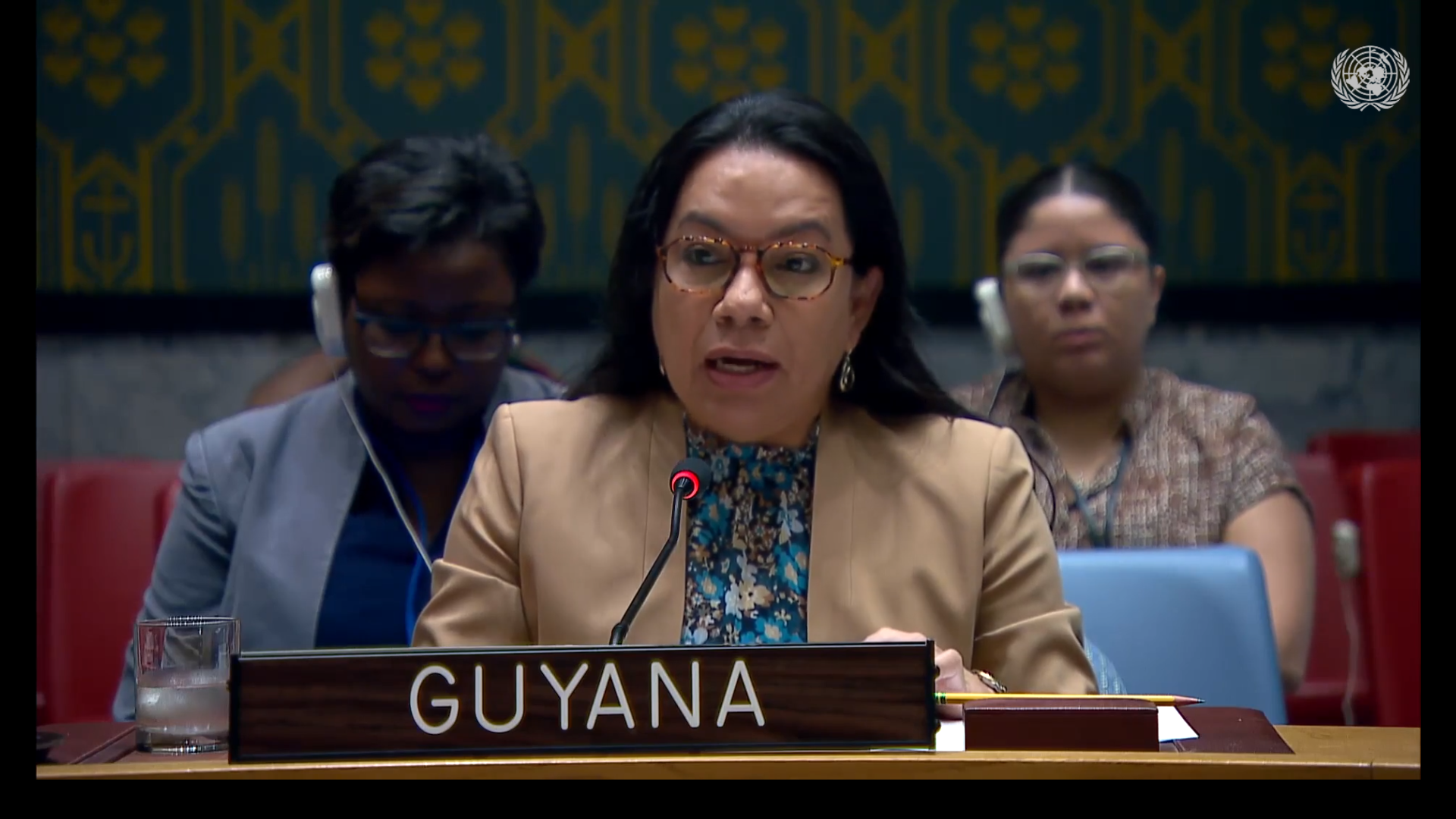 H.E. Carolyn Rodrigues-Birkett