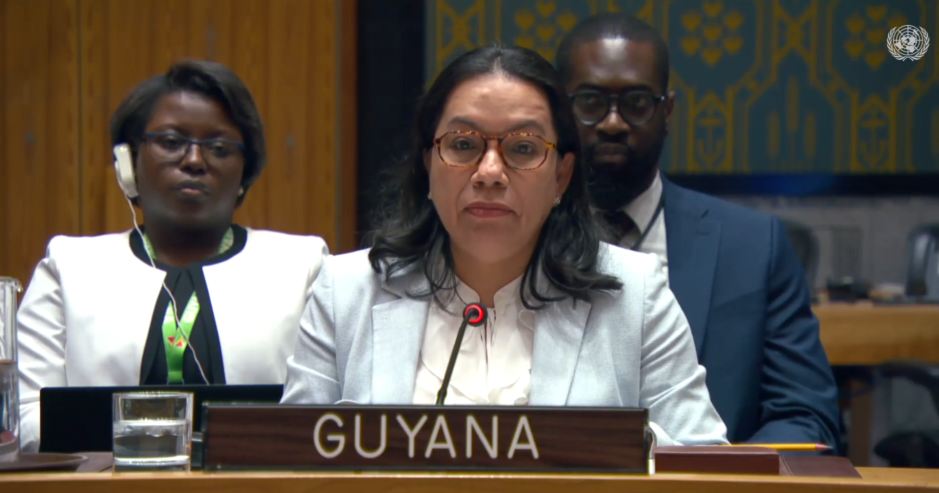 H.E. Carolyn Rodrigues-Birkett