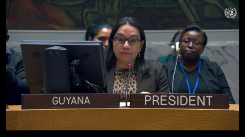 Amb. Carolyn Rodrigues Birkett delivering statement at UNSC Meeting (TIPS-Ukraine)