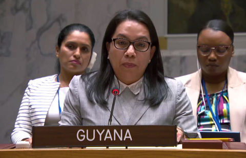 Amb. Carolyn Rodrigues Birkett delivering statement at UNSC Meeting on Palestine