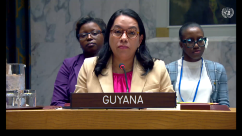 Amb. Carolyn Rodrigues Birkett delivering statement at UNSC Meeting on Cooperation between the UN and the EU