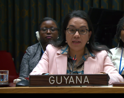 Amb. Carolyn Rodrigues Birkett delivering statement at UNSC Meeting on Myanmar