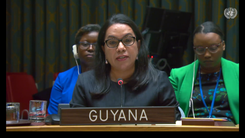 Amb. Carolyn Rodrigues Birkett delivering statement at UNSC Meeting on Palestine