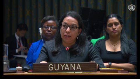 Amb. Carolyn Rodrigues Birkett delivering statement at UNSC Meeting on Palestine