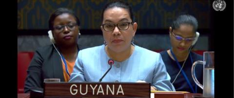 Amb. Carolyn Rodrigues Birkett delivering statement at UNSC Meeting on DPRK