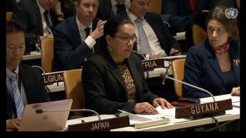 Amb. Carolyn Rodrigues Birkett delivering statement at UNSC Arria Formula Meeting on Palestine