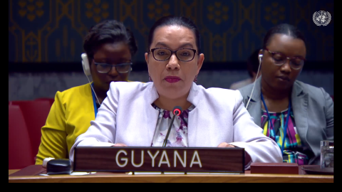 Amb. Carolyn Rodrigues Birkett delivering statement at UNSC Meeting on Palestine