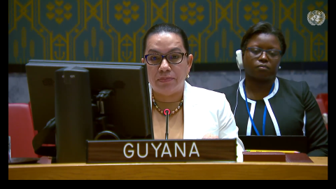 Amb. Carolyn Rodrigues Birkett delivering statement at UNSC Meeting on Palestine