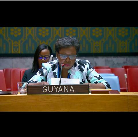 Minister Counsellor at UNSC Meeting on IRMCT