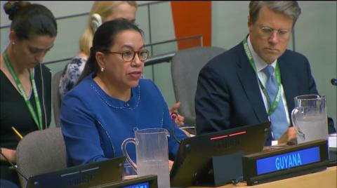 Amb. Carolyn Rodrigues Birkett delivering statement at UNSC Arria Formula Meeting on Environmental Challenges and Opportunities for Peace