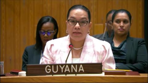 Amb. Carolyn Rodrigues Birkett delivering statement at UNSC Meeting on ICC Sudan