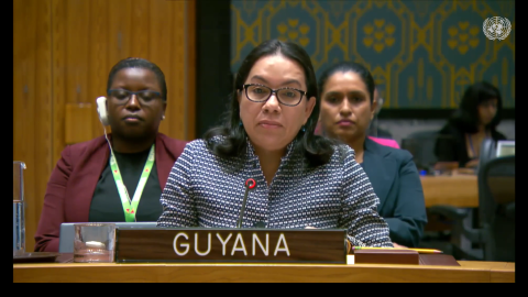 Amb. Carolyn Rodrigues Birkett delivering statement at UNSC Meeting on the Situation in the Middle East