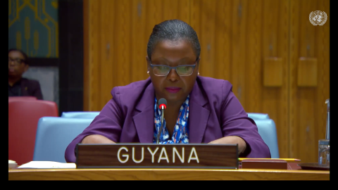 Minister Counsellor delivering statement at UNSC Briefings by Subsidiary Bodies Chairs