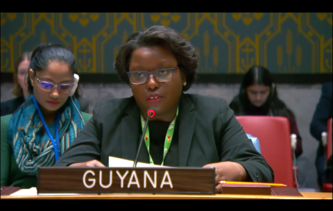 Ms. Neishanta Benn delivering statement at UNSC Briefing on DPRK