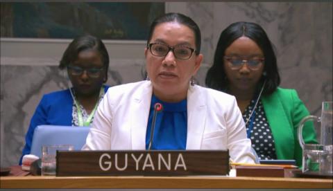 H.E. Carolyn Rodrigues-Birkett